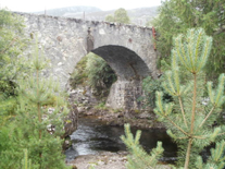 Bridge of Truim
