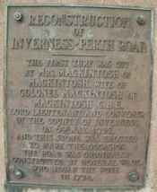 RReconstruction Plaque