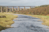 Tomatin Bridges